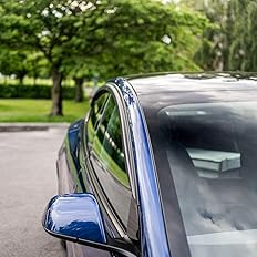 Best Rain Guards for Tesla Model 3